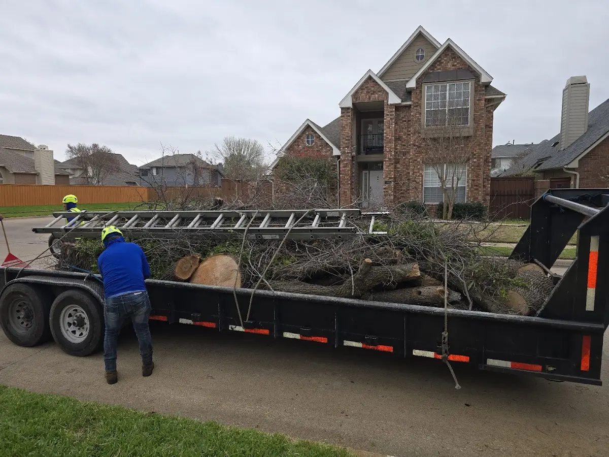 Expert Lot Clearing with proper safety equipment in Thoreau